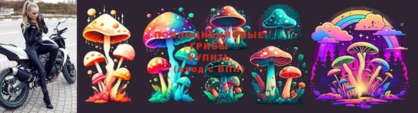 гашик Богородск