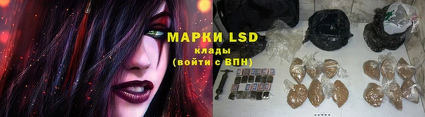 гашик Богородск