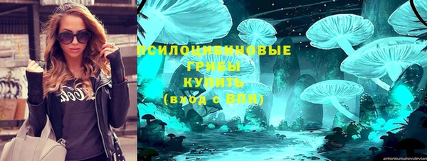 бошки Богородицк