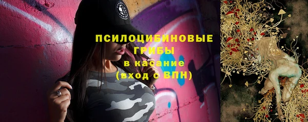 гашик Богородск