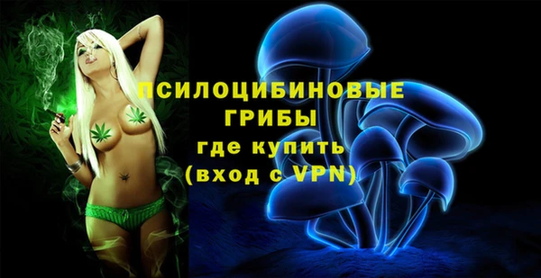 гашик Богородск