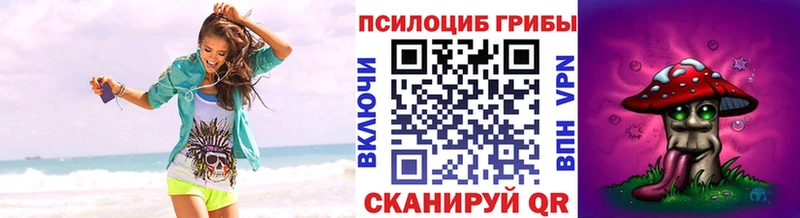 Купить где Буйнакск Галлюциногенные грибы Magic Shrooms